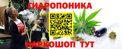 гидра Гусев